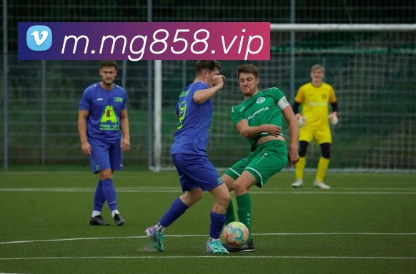 用户互动社区